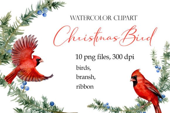 Watercolor Christmas Bird Cardinal PNG & Illustrations